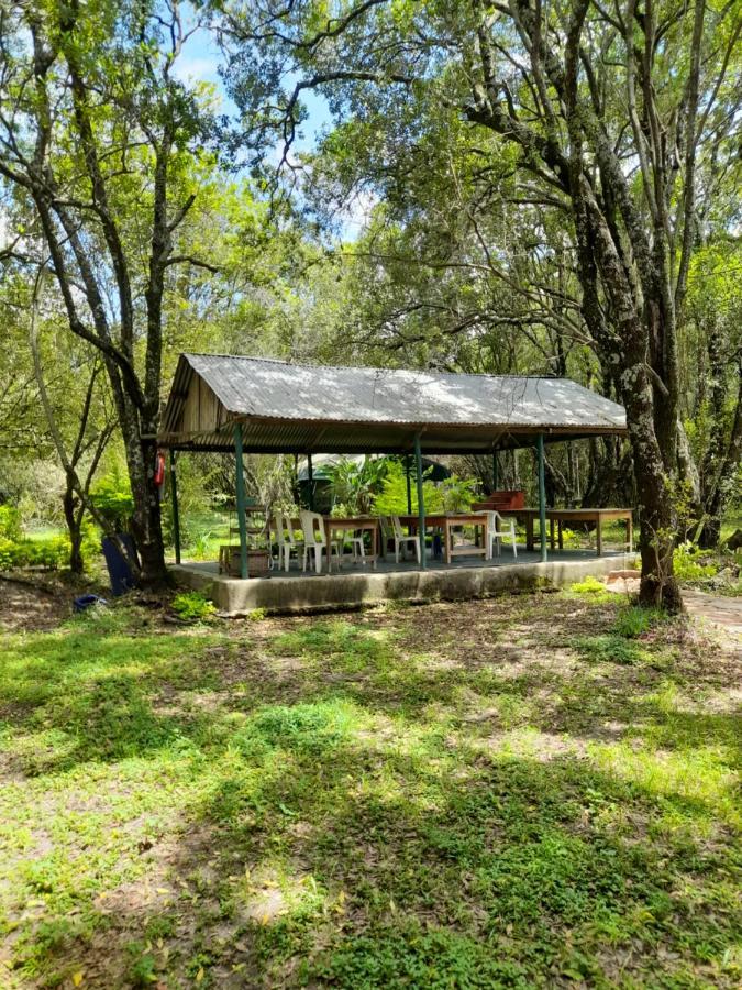 Leruk Maasai Mara Camp 호텔 Sekenani 외부 사진