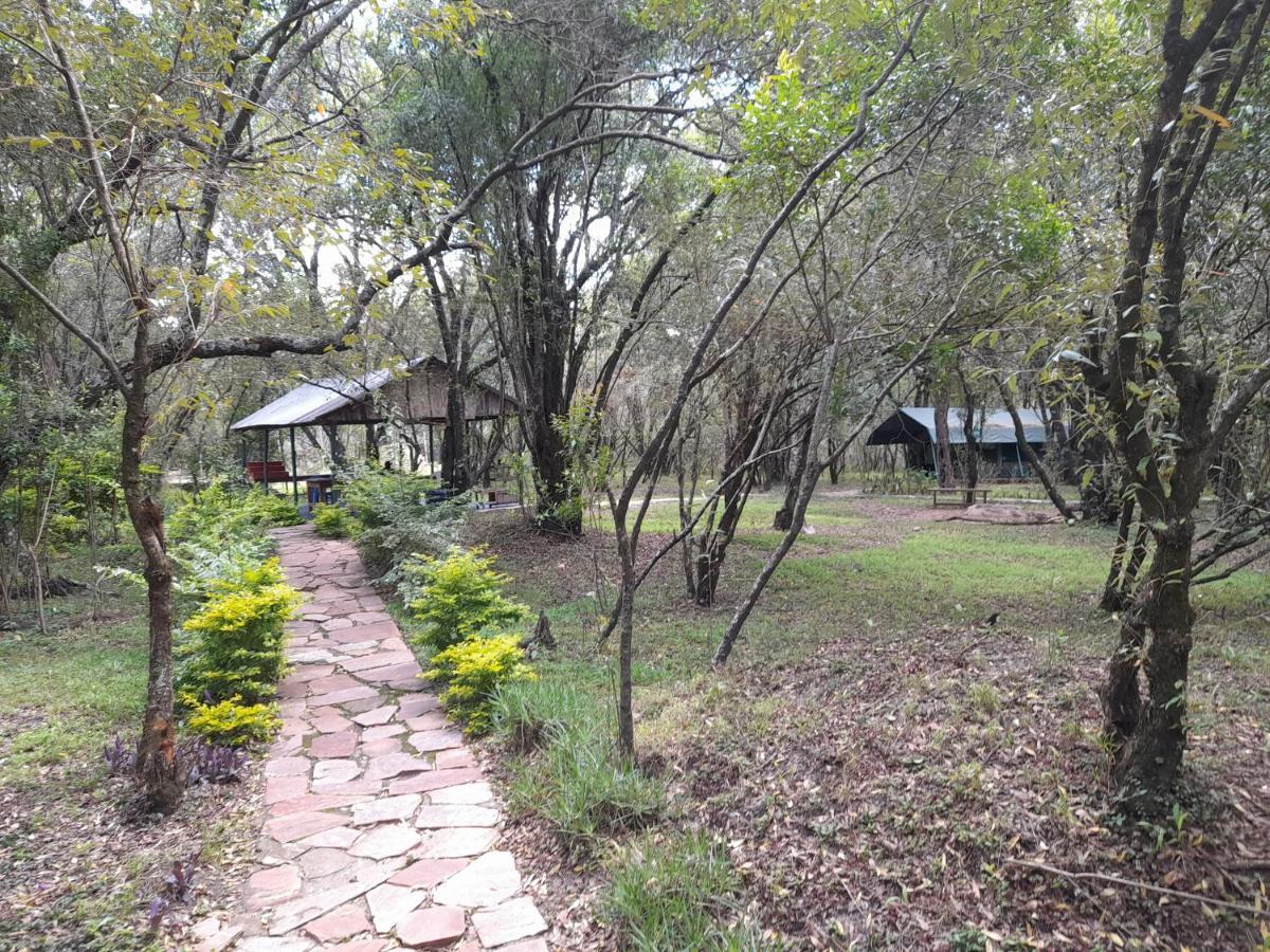 Leruk Maasai Mara Camp 호텔 Sekenani 외부 사진