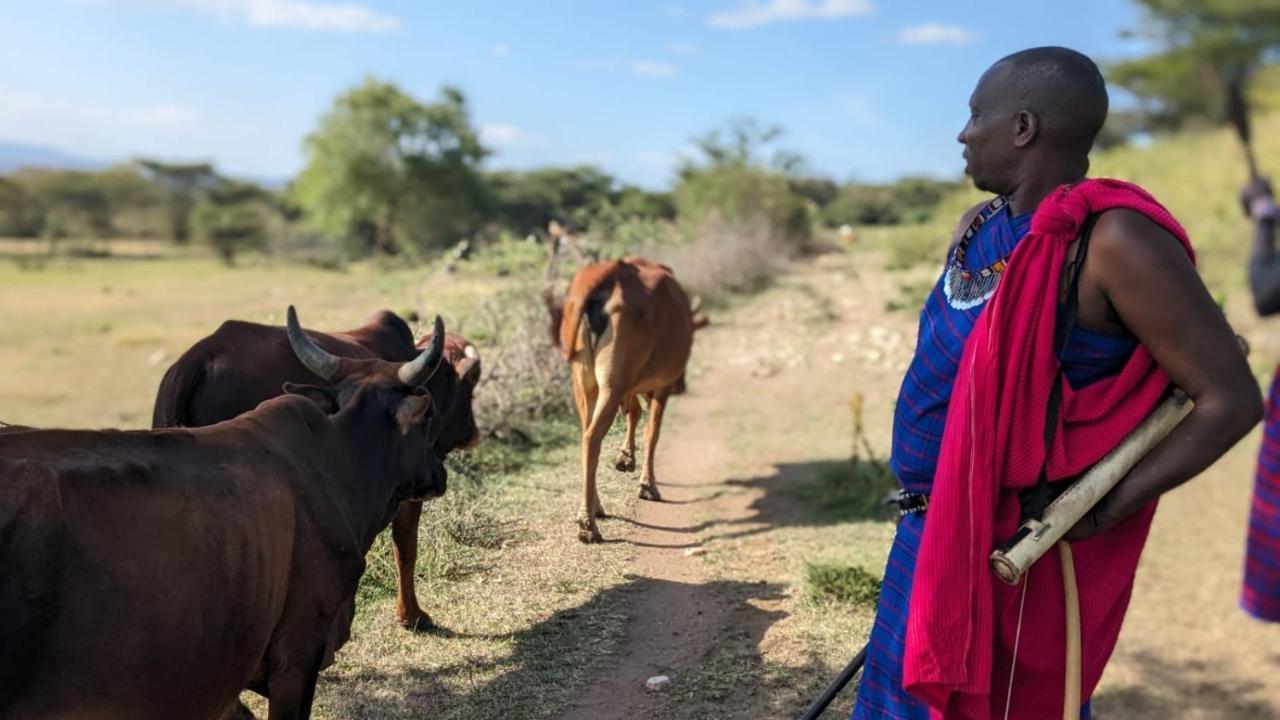 Leruk Maasai Mara Camp 호텔 Sekenani 외부 사진